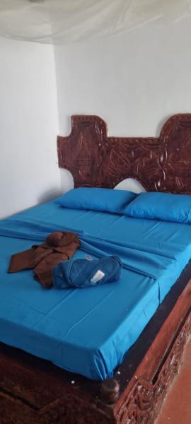 Daya House karibu